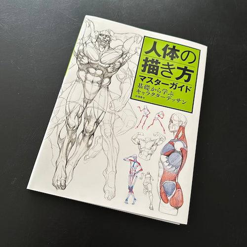 anatomy for artists