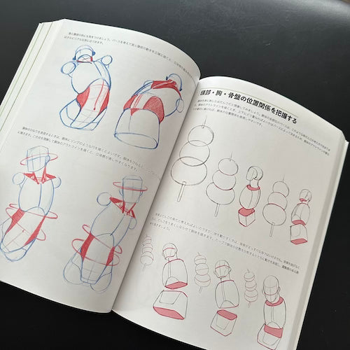 anatomy for artists