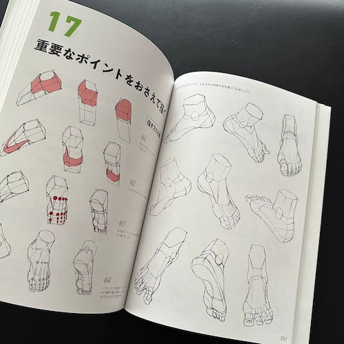 anatomy for artists