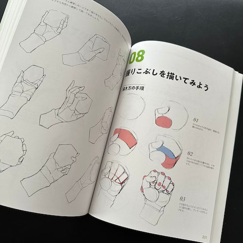 anatomy for artists
