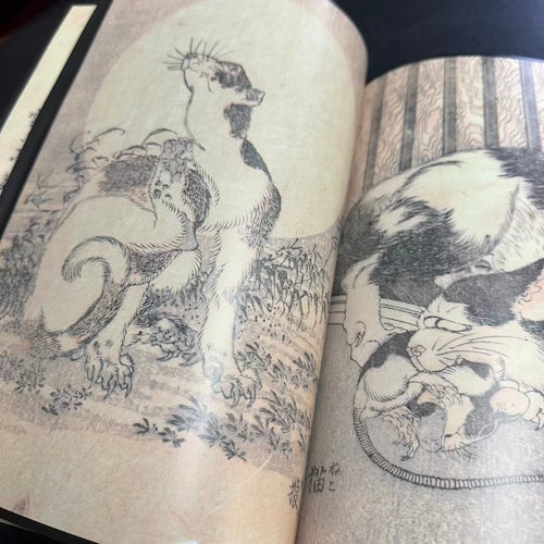 Hokusai/Hanzan Manga