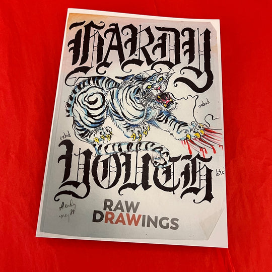 HARDY YOUTH VOL. 2  - CATALOG